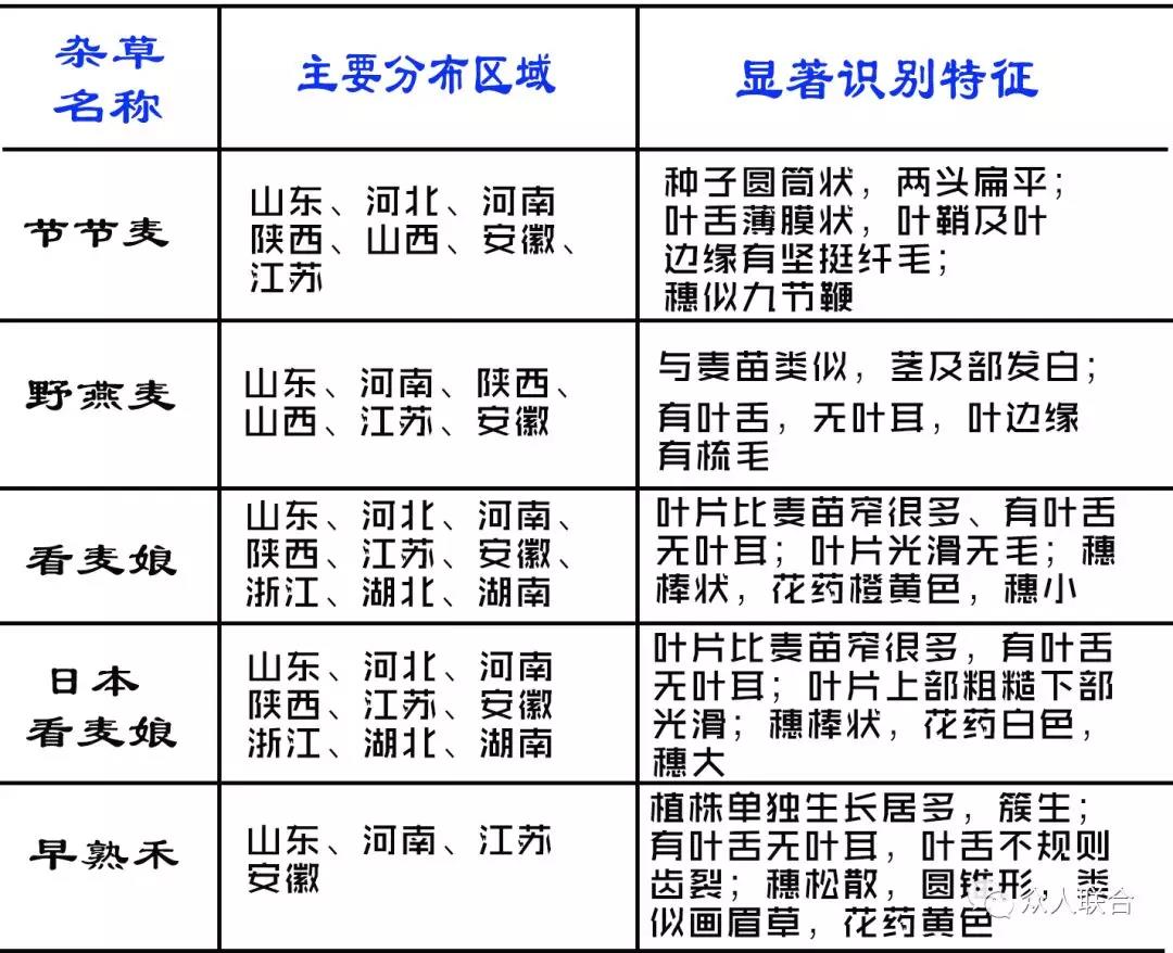 香港宝典免费资料网