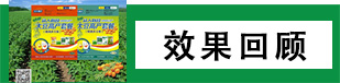 香港宝典免费资料网